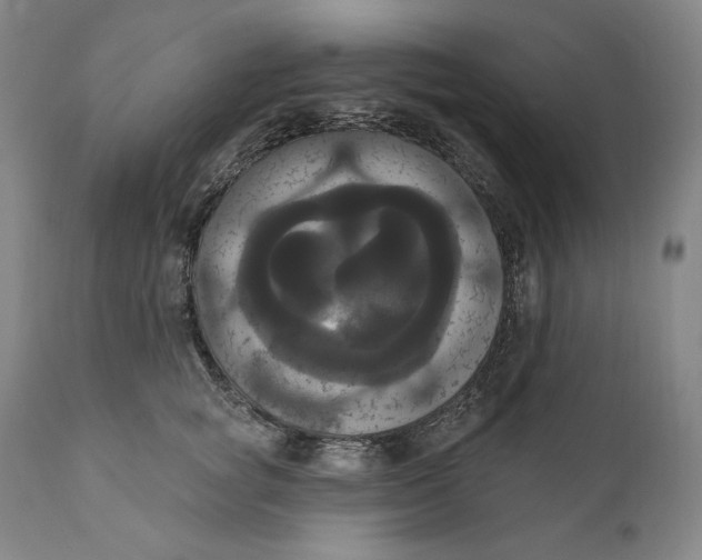 X0000111020757200907101339