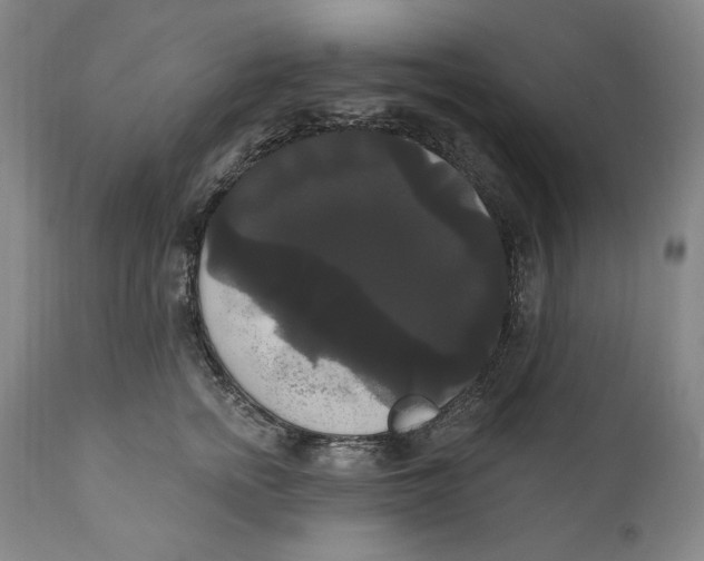 X0000111020758200907101339