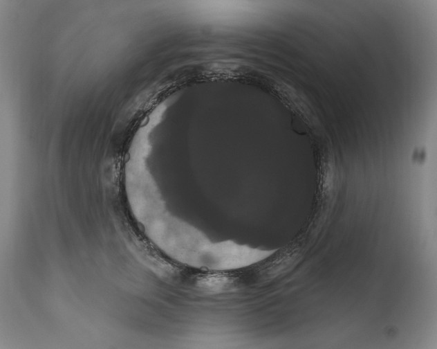 X0000111020759200907101339