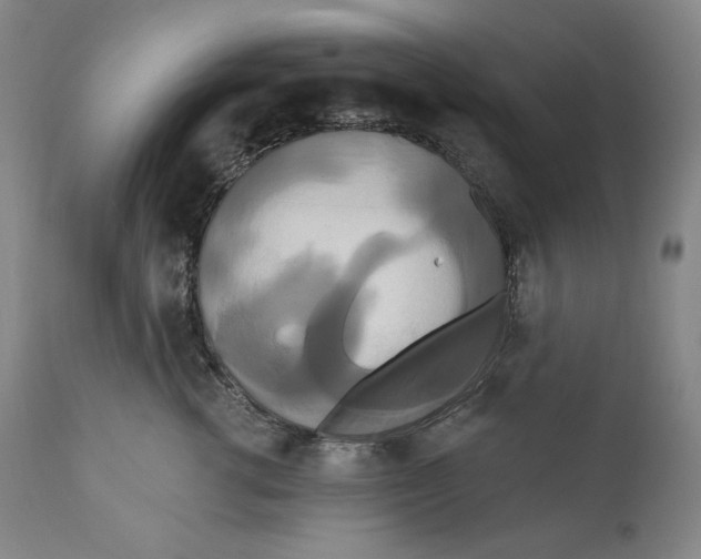 X0000111020762200907101339