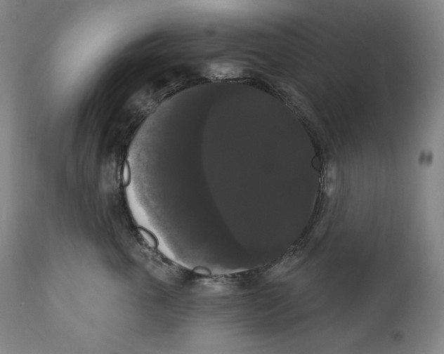 X0000111020763200907101339