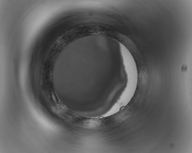 X0000111020765200907101339