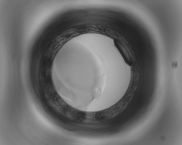 X0000111020766200907101339