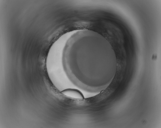 X0000111020767200907101339