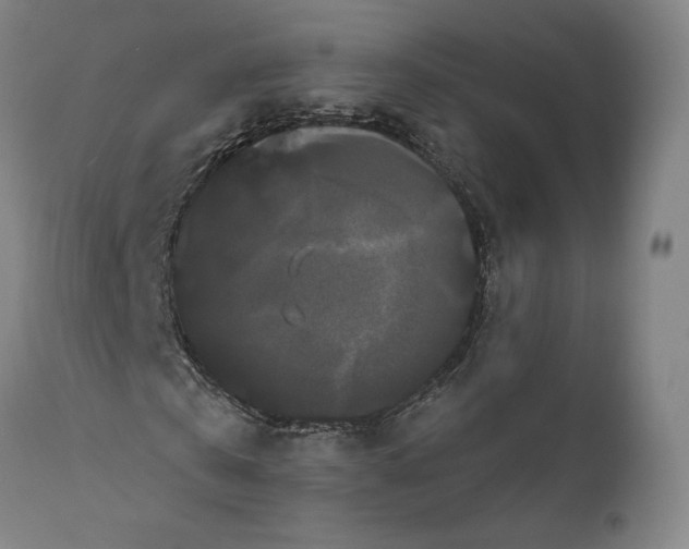 X0000111020769200907101339