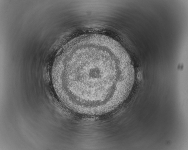 X0000111020771200907101339