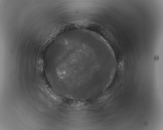 X0000111020772200907101339