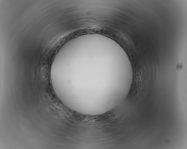 X0000111020773200907101339