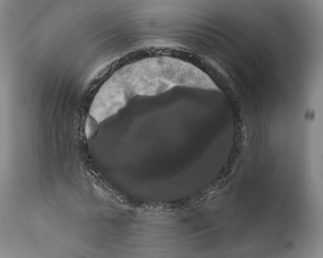 X0000111020775200907101339