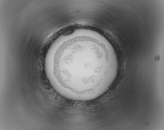 X0000111020776200907101339