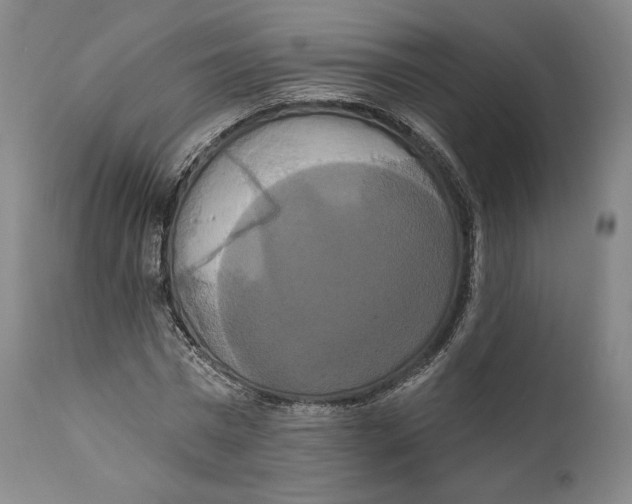 X0000111020777200907101339