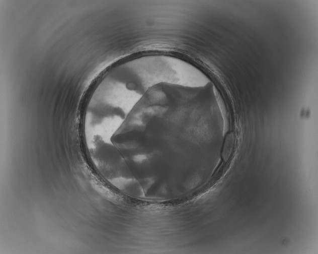 X0000111020779200907101339