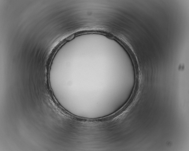 X0000111020781200907101339