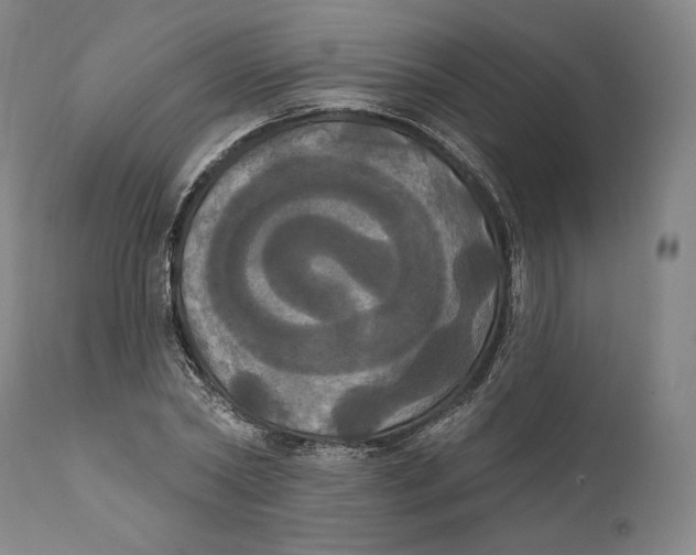 X0000111020782200907101339