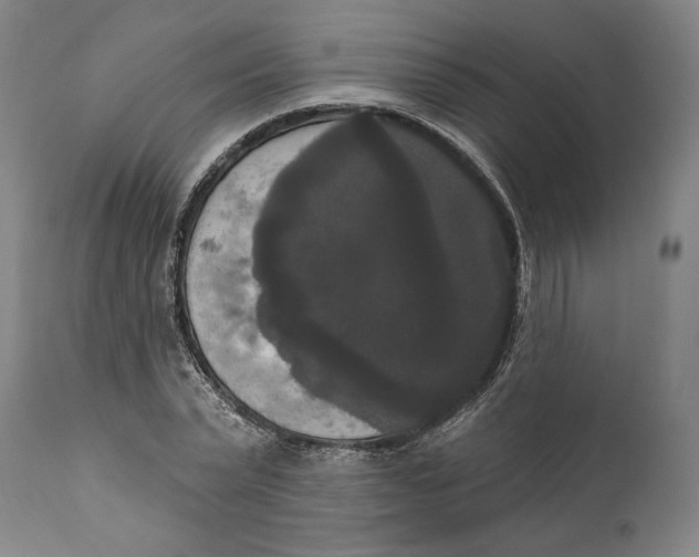 X0000111020783200907101339