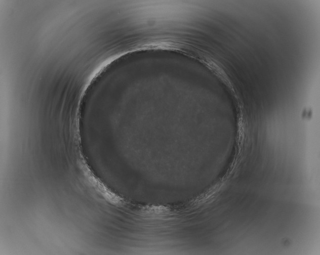 X0000111020784200907101339