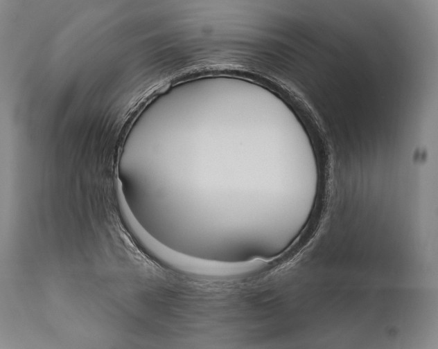 X0000111020785200907101339