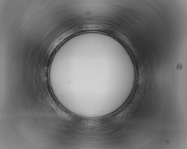 X0000111020786200907101339