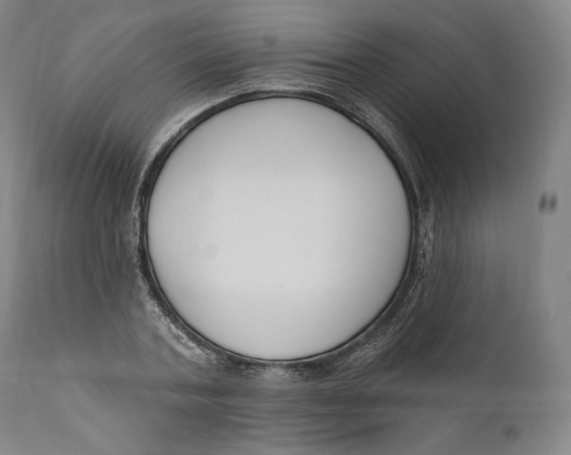 X0000111020787200907101339