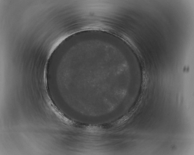 X0000111020788200907101339