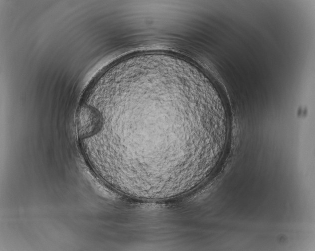 X0000111020789200907101339