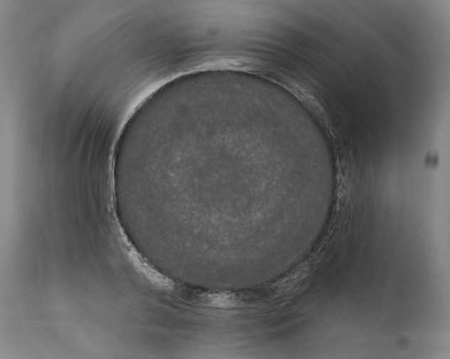 X0000111020792200907101338