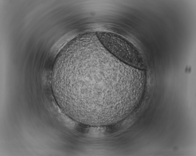 X0000111020793200907101338