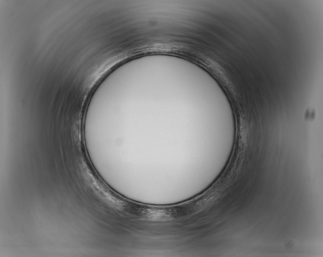 X0000111020794200907101338