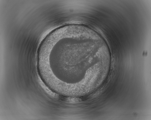 X0000111020795200907101338