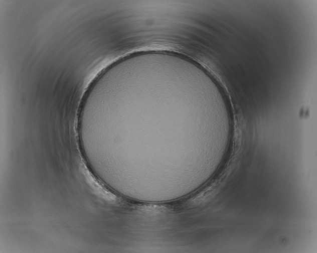 X0000111020797200907101338
