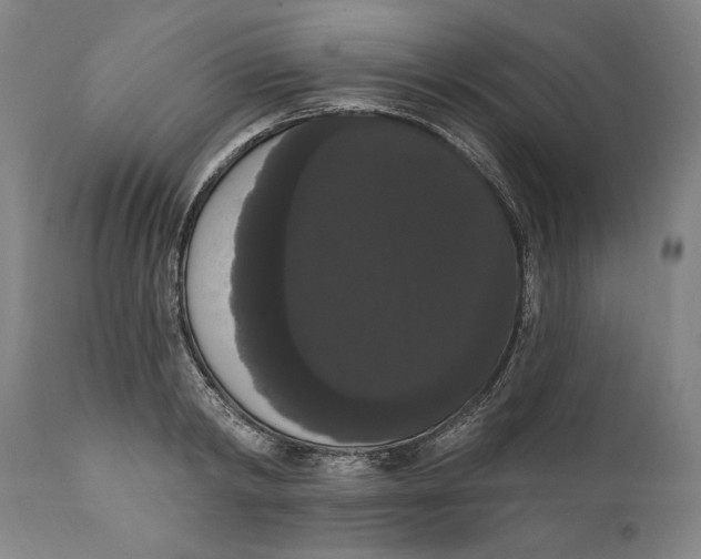 X0000111020798200907101338