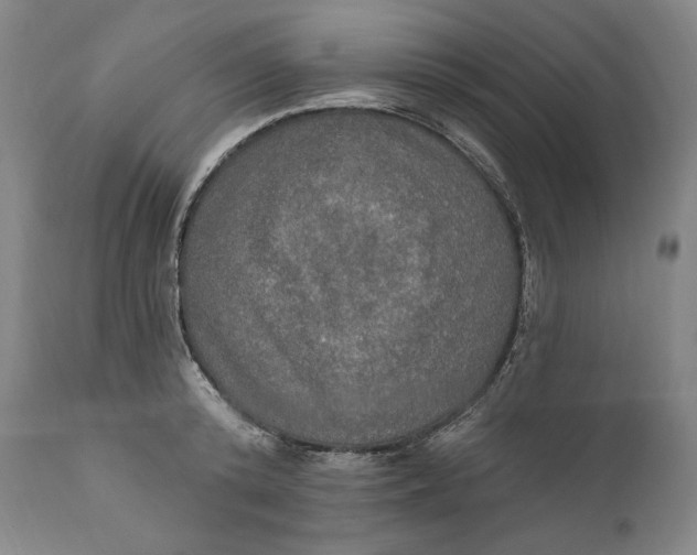 X0000111020800200907101338