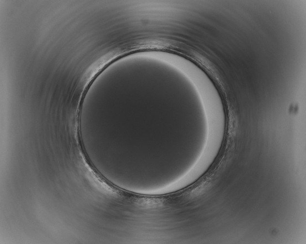 X0000111020802200907101338