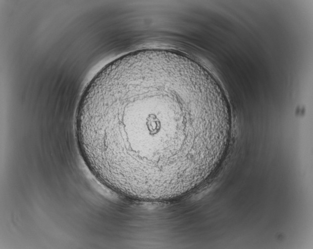 X0000111020803200907101338