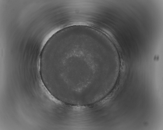 X0000111020804200907101338