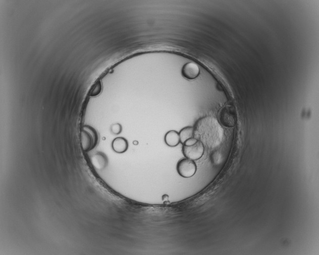 X0000111020805200907101338