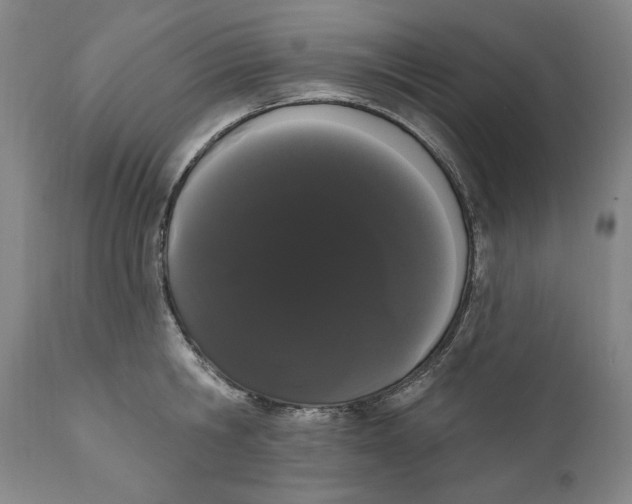 X0000111020806200907101338