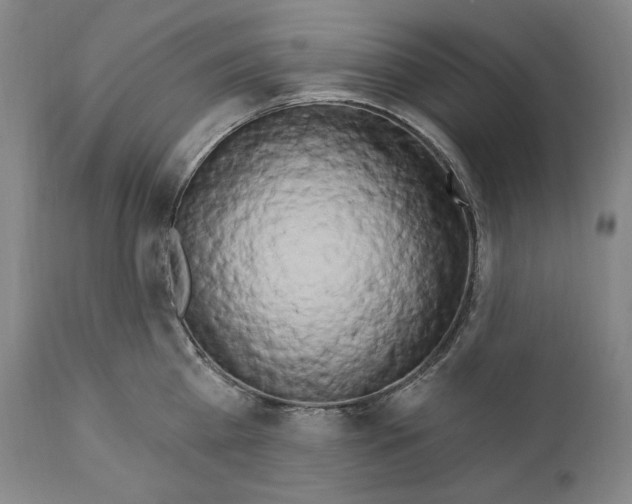 X0000111020809200907101338