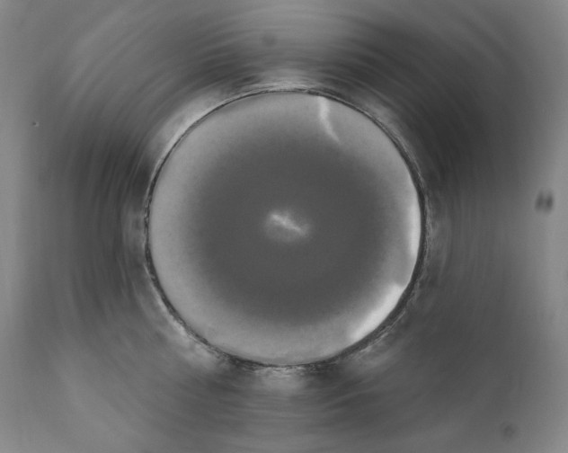 X0000111020810200907101338