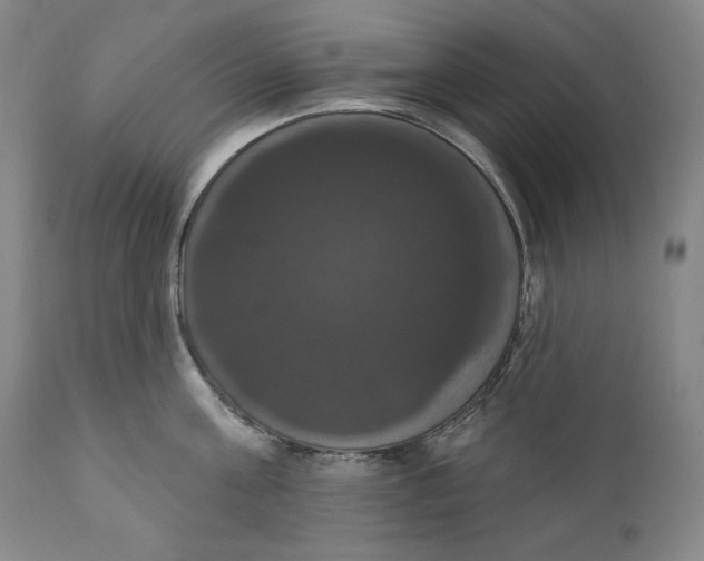 X0000111020811200907101338