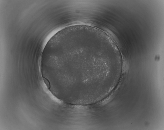 X0000111020812200907101338