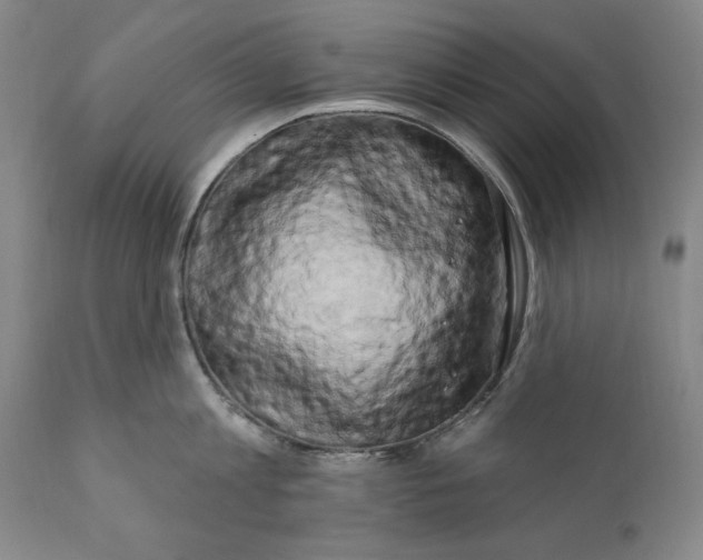 X0000111020813200907101338