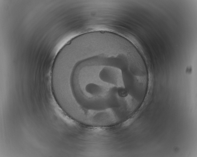 X0000111020814200907101338