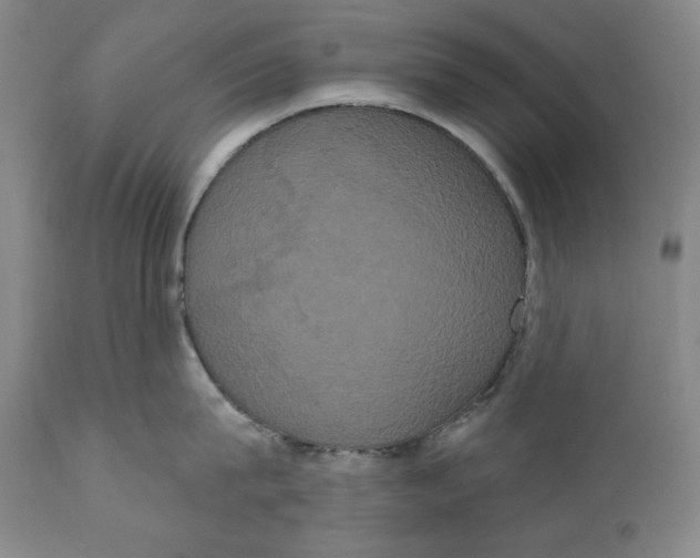 X0000111020815200907101338