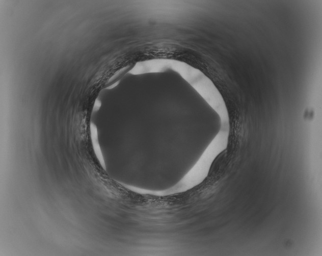 X0000111020818200907101337
