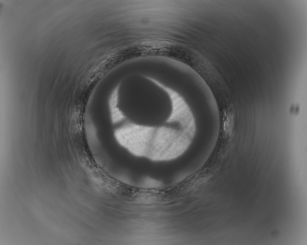 X0000111020819200907101337