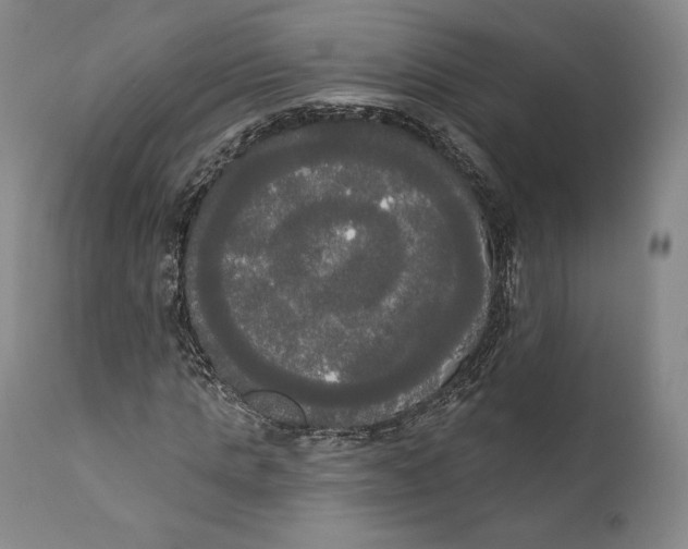 X0000111020821200907101338