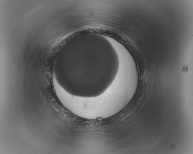X0000111020822200907101338