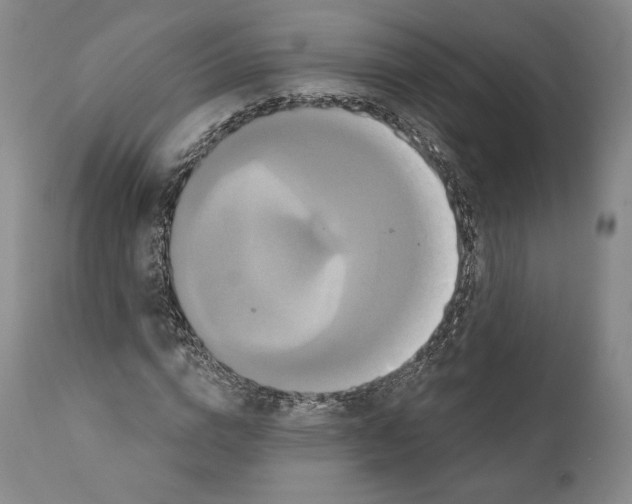 X0000111020824200907101338