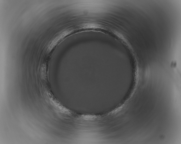 X0000111020825200907101338